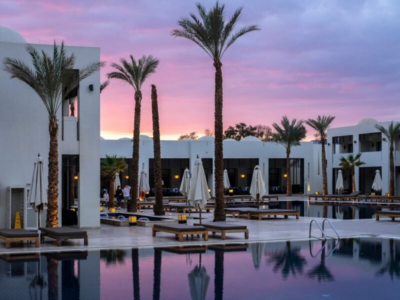 a large swimming pool surrounded by palm trees